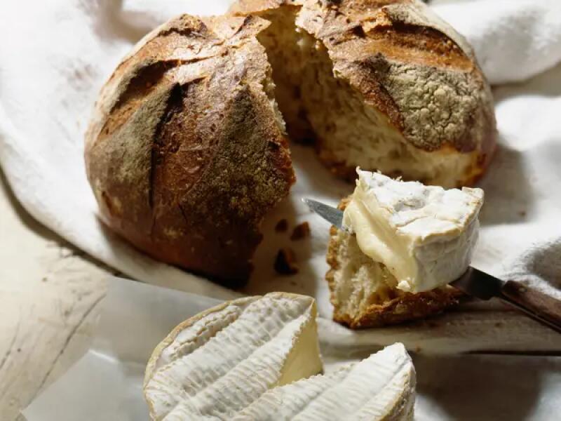 TH01_pain_et_fromage