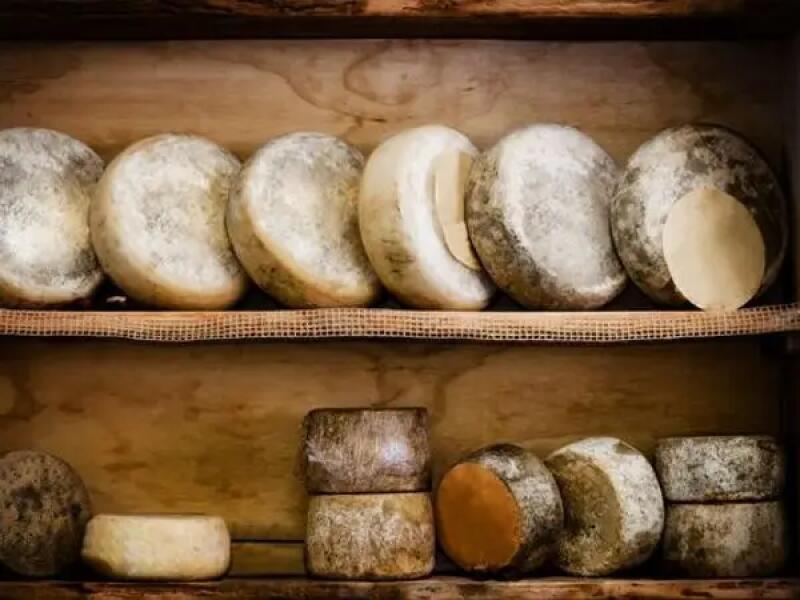 TH01_fromagerie angers