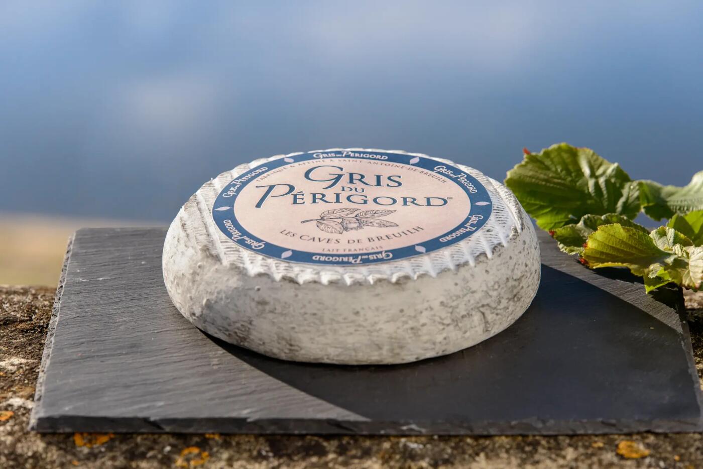 Fromage Gris du Périgord Qui veut du fromage