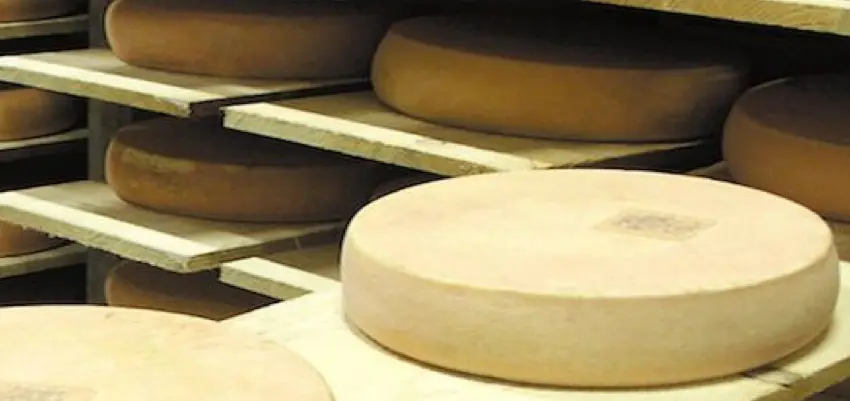 Quels fromages pour une raclette
