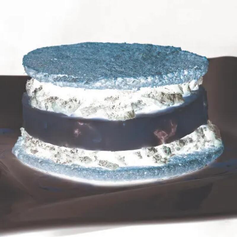 Recette : Biscuit au chocolat et au bleu, chutney d’oignons et myrtilles
