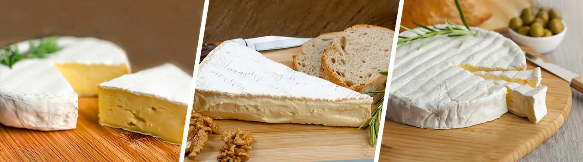 Brie, camembert et coulommiers LA02 Adobe Stock