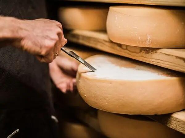 Le processus d’affinage du fromage