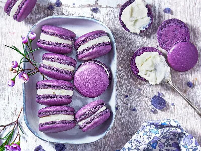 TH01_macaron-carre-frais-violette